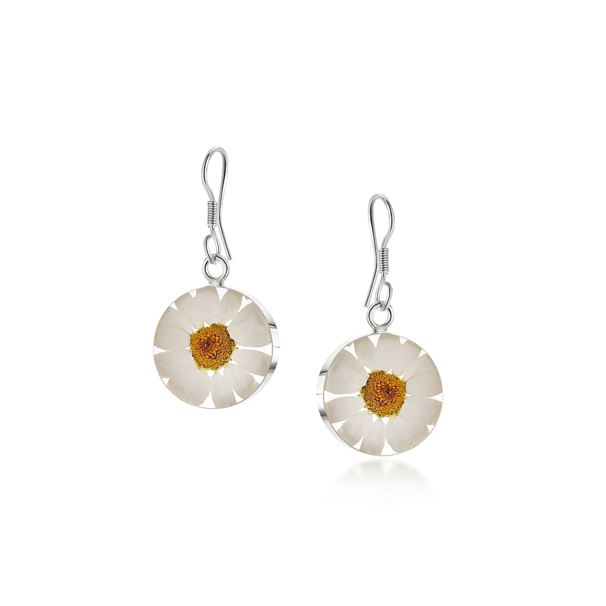 Pendientes de margaritas de Shrieking Violet® ¡Plata de ley con margaritas reales!