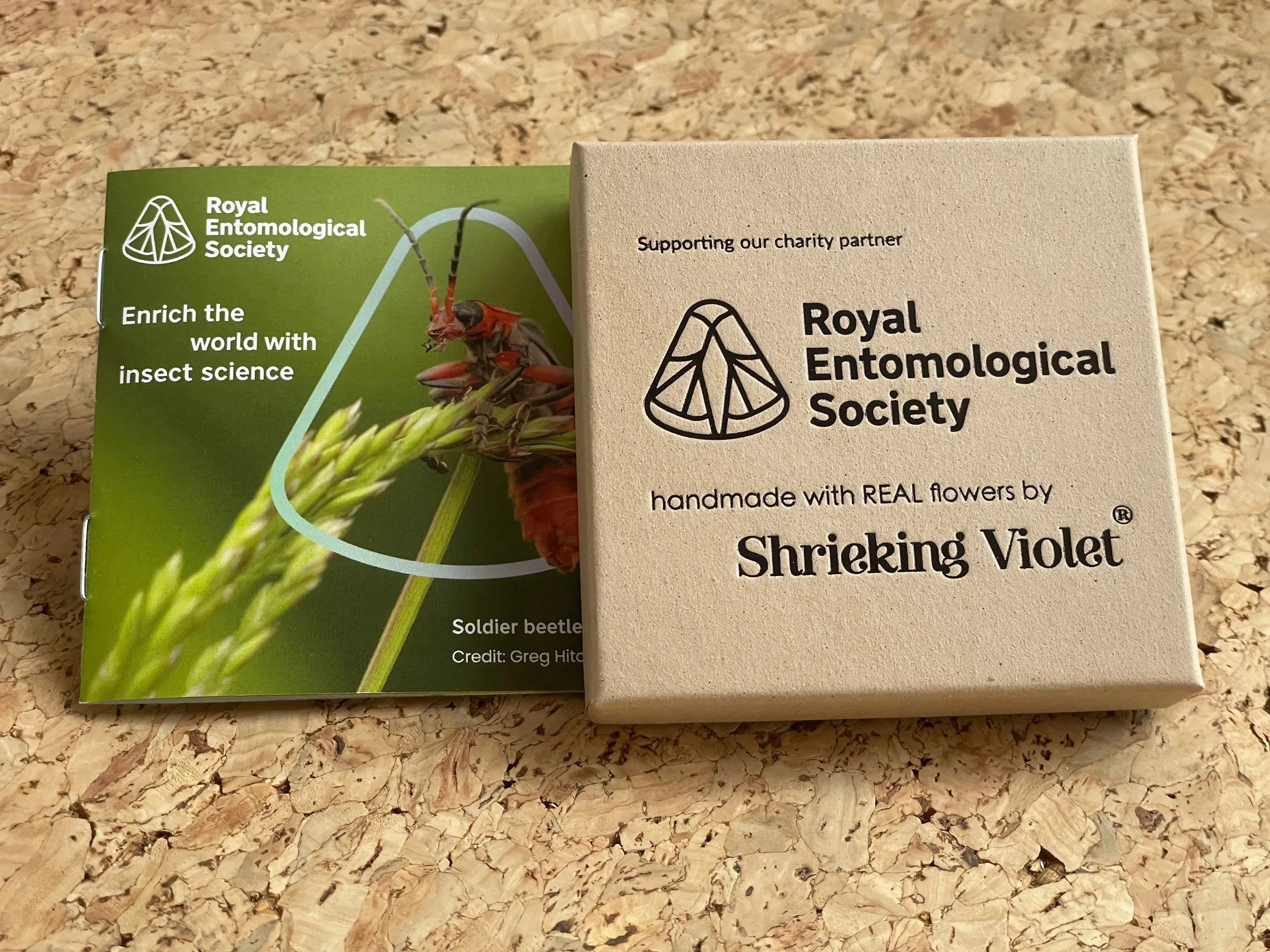 Shrieking Violet® स्टर्लिंग सिल्वर पेंडेंट के साथ पोपी तितली हार, असली Euphorbia milii फूलों से हस्तनिर्मित। तितली प्रेमियों के लिए आभूषण उपहार