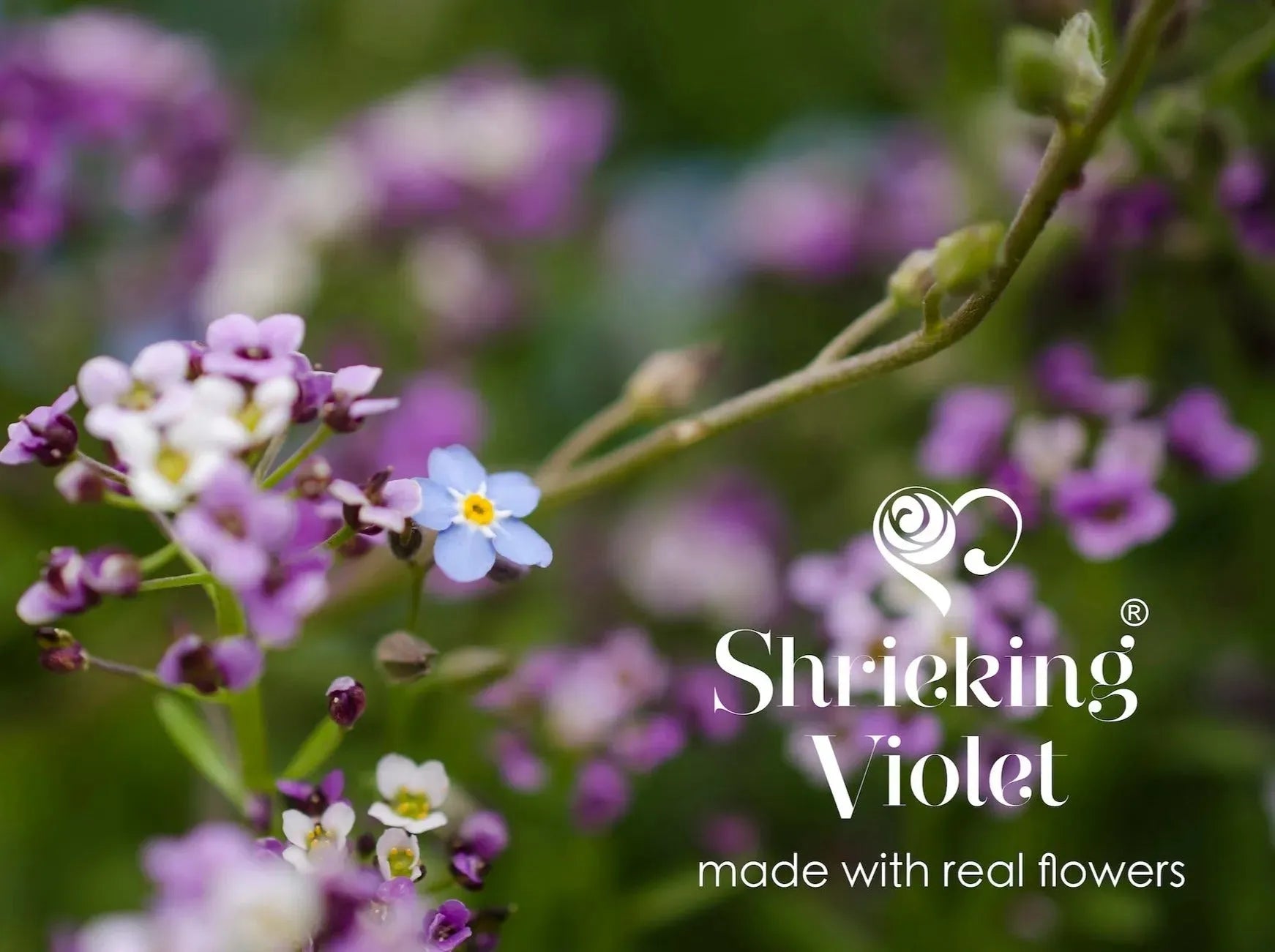 قلادة زهرة حقيقية من Shrieking Violet® قلادة بيضاوية من الفضة الإسترلينية مع زهور حقيقية. هدية مدروسة للبستاني، بائع الزهور، ومحبي الطبيعة