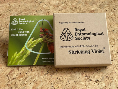 Shrieking Violet® 纯银吊坠罂粟蝴蝶项链，采用真正的大戟花手工制作。送给蝴蝶爱好者的珠宝礼物