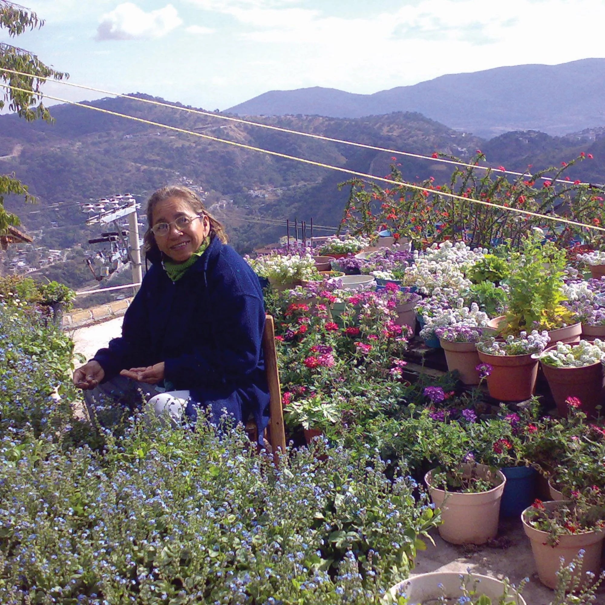 Brincos de Argola com Flores Reais em Prata Esterlina – Coleção Purple Haze