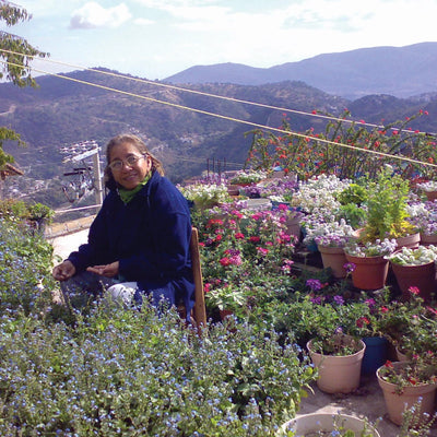 स्टर्लिंग सिल्वर असली फूल हूप इयररिंग्स – पर्पल हेज कलेक्शन