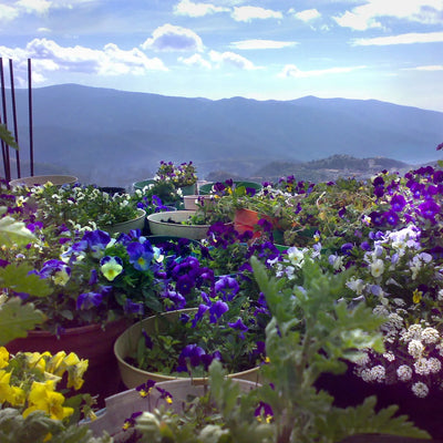 Pulseira com miçangas em prata esterlina - pedra ametista e coração de flores mistas