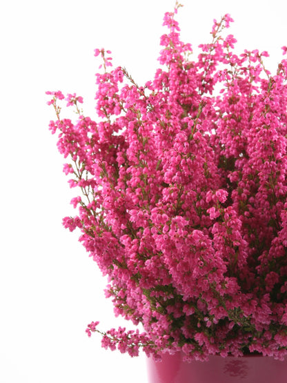 Runde Heidekraut-Halskette aus Sterlingsilber – handgefertigter echter Blumenanhänger
