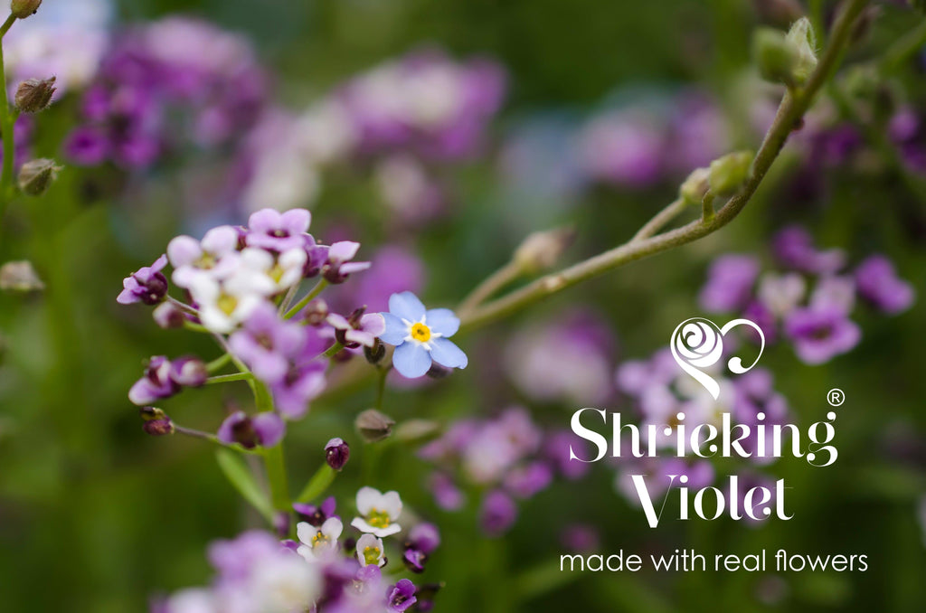 Flower earrings by Shrieking Violet® Gold-plated sterling silver heart earrings with real flowers. Thoughtful jewellery gift for a special lady