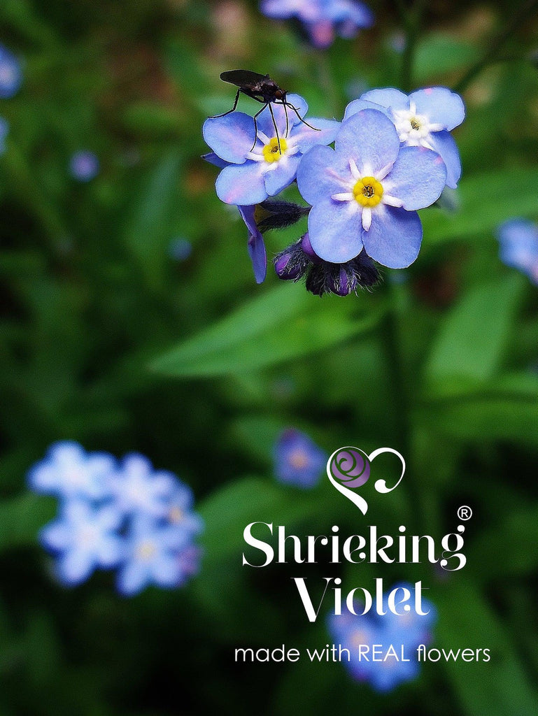 Forget-me-not necklace by Shrieking Violet® Sterling silver rectangle pendant with real forget-me-nots. Handmade with real flowers.