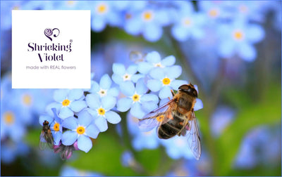Forget-me-not ring by Shrieking Violet® Sterling silver adjustable size ring with forget me not flowers. Ideal gift for mothers day, mums birthday