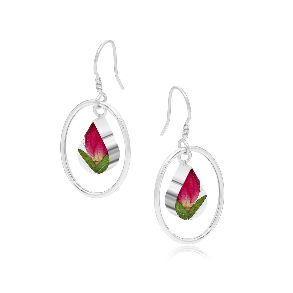 Rose earrings by Shrieking Violet® Sterling silver drop dangle earrings with oval hoop & real flowers. Thoughtful jewellery gift for a special lady